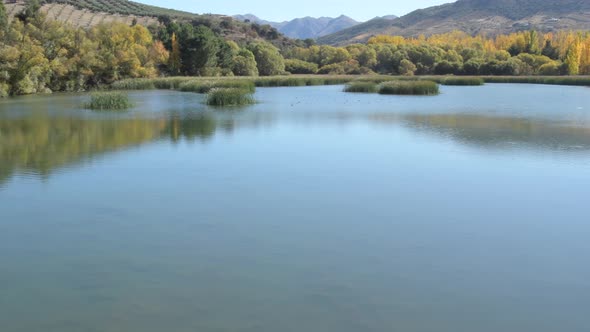 Autumnal Landscape and Dam in a Swamp