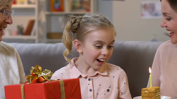 Excited Girl Blowing Birthday Candle, Extremely Happy to Celebrate With Family