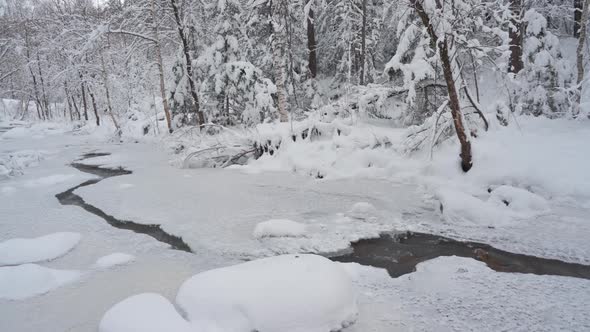 Beauty Winter Landscape