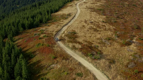 Mountain Aerial Car View Going on Small Rocky Road Among Green Sequoia Trees