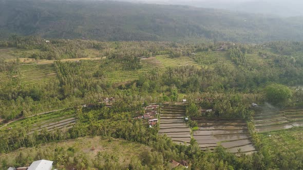 Tropical Landscape with Agricultural Land in Indonesia