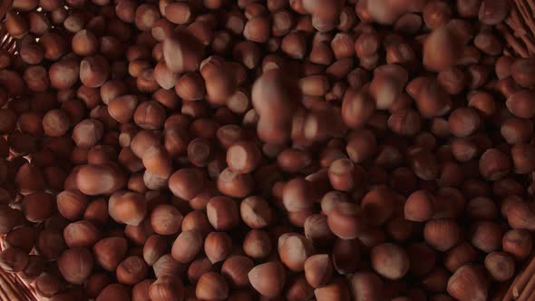 Many Hazelnuts Pours in Slow Motion