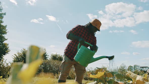 Happy Handsome African Farmer Watering the Plants