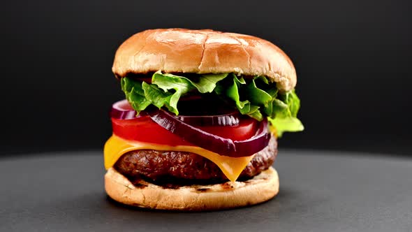 Tasty burger rotating in front of camera