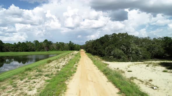 A country dirt road in Central Florida flanked by a pine forest and pond.