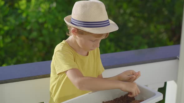 Little Boy Plants the Plants in Pots in His Home Garden on a Balcony. Home Farming Concept