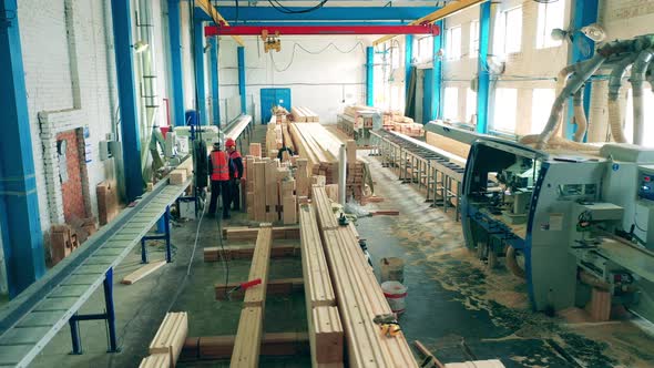 Carpenters Work at Woodworking Plant with Machines.
