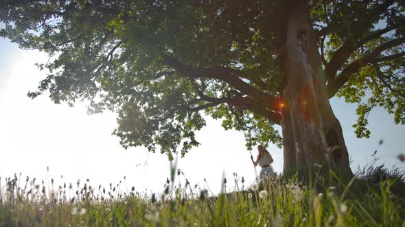 A Young Woman Is Riding a Rope Swing Suspended From an Old Oak Tree