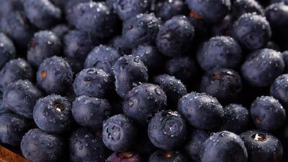 Heap of Blueberries