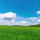 Time lapse footage of green agriculture field and blue sky with clouds at spring - VideoHive Item for Sale
