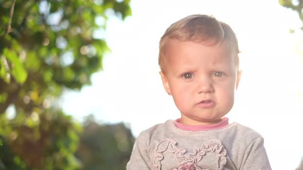 The Child Sits on the Green Grass in the Sunlight