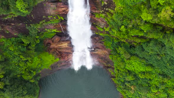 Waterfall in the Green Forest