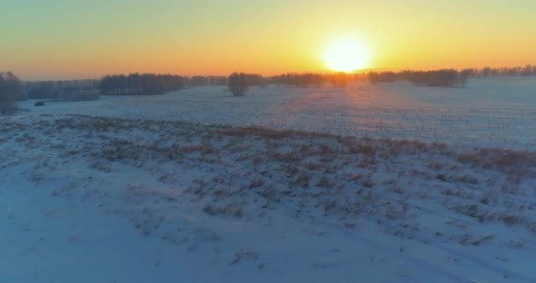 Aerial Drone View of Cold Winter Landscape with Arctic Field Trees Covered with Frost Snow and