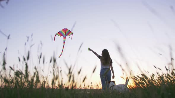 Young Happy Woman and Het Little Dog with Flying Kite on a Glade at Sunset Low Angle View