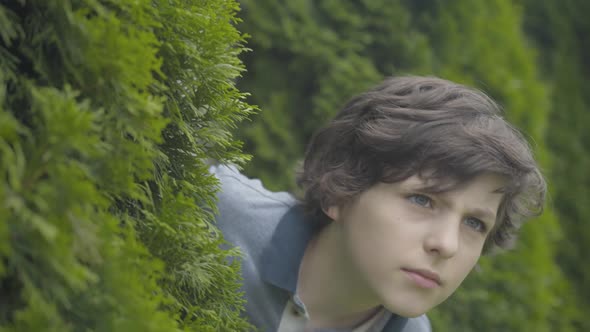 Close-up of Funny Brunette Boy with Grey Eyes Looking Out Bushes and Hiding. Portrait of Cheerful