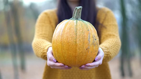 Woman Holding Pumpkins in Hands on an Autumn Sunny Day in the Forest