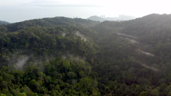Aerial view Penang Hill rainforest.