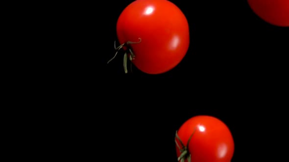 Tomatoes Are Falling Down on on a Black Background