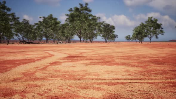 Cracked Ground Dry Land During the Dry Season