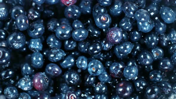 Super Slow Motion Shot of Flying and Rotating Fresh Blueberries and Water at 1000Fps