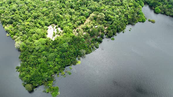 Stunning landscape of Amazon Forest at Amazonas State Brazil.