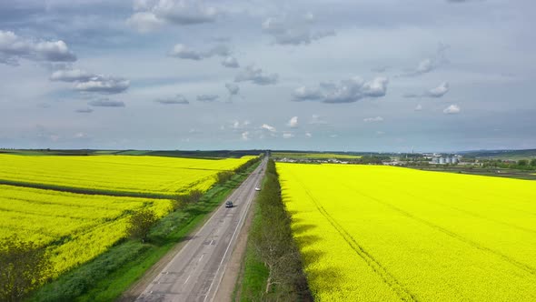 Aerial View of Yellow Blooming Oilseed Rape Fields