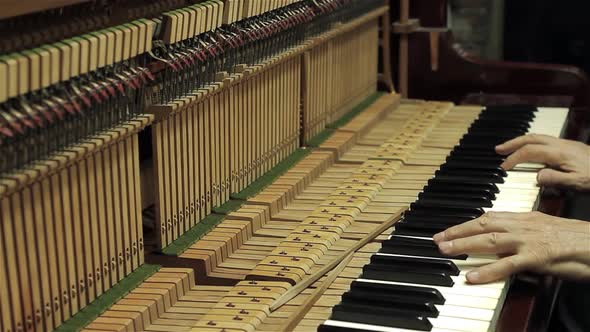 Piano Workshop, Man Hands tuning an Old Piano. Close Up.