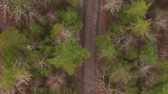 Aerial drone video footage top down view of a spring tree canopy and dirt road in the Appalachian mo