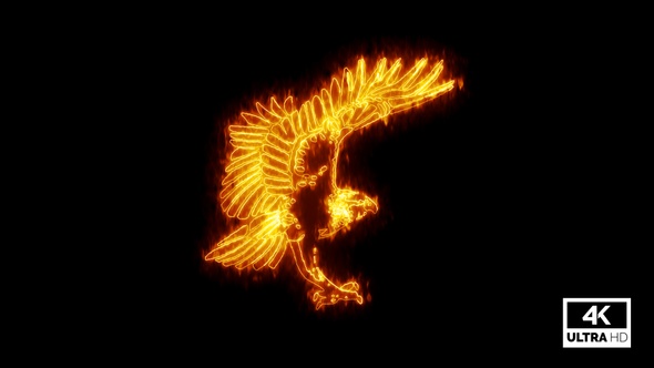 Fire Burning Eagle Isolated On Black Background V3