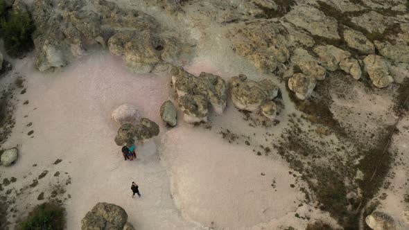 The Natural Phenomenon Stone Mushrooms 