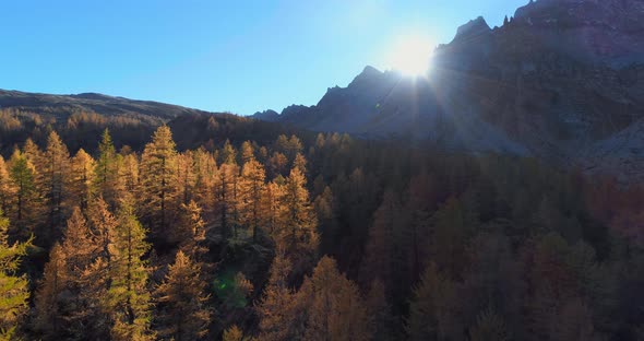 Forward Aerial Over Alpine Mountain Valley and Orange Larch Forest Woods in Sunny Autumn