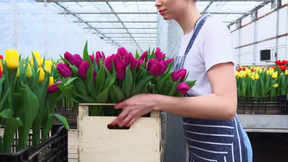 Portrait of a Young Woman Employee Greenhouses