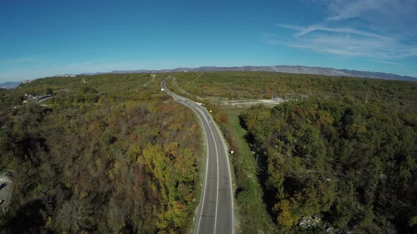 Aerial shot of a road through the woods