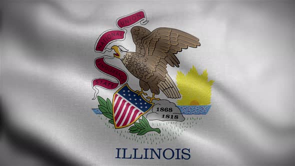 Illinois State Flag Front