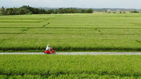 Motorcycle Driver Riding on a the Rice Fields. Outdoor Shot, Countryside Landscape. Travel and Sport