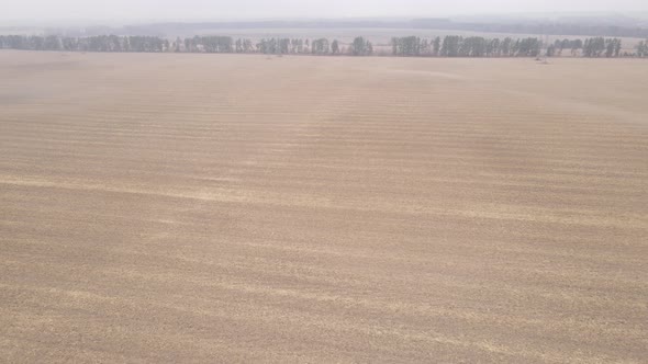 Land in a Plowed Field in Autumn