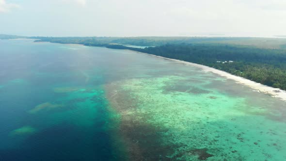 Aerial Drone: Uncontaminated Coastline Tropical Beach Caribbean Sea Coral Reef Palm Tree Woodland