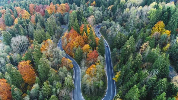 Autumn Colors Above the Road