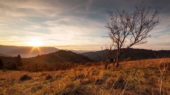 Time Lapse of Sun Setting Behind the Mountain and Pine Trees on a Background