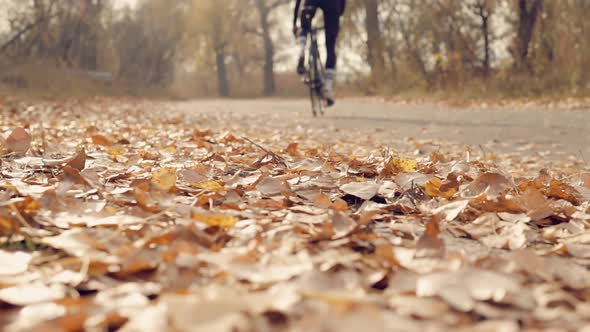 Cyclist Riding On Autumn Fallen Leaves. Triathlete Cyclist Training For Triathlon. Bike Wheels Wheel