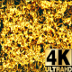 Fire Flames Background (4K) - VideoHive Item for Sale