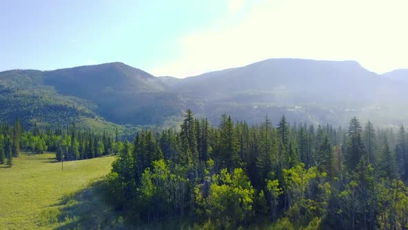 Aerial Drone View Flying Over Trees on a Sunny Morning in Colorado with Mountains In Background