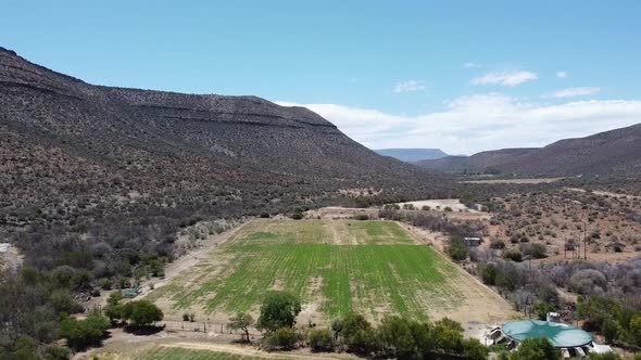 Karoo farm landscape near Graaff-Reinet during drought featuring Lucerne field. Aerial shot over gre