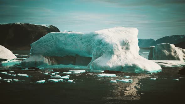 Many Melting Icebergs in Antarctica