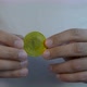 Man Holding Bitcoin Coin in His Hands - VideoHive Item for Sale