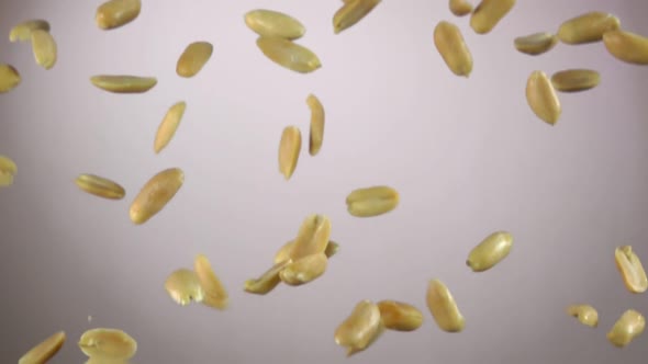 Peeled Tasty Peanuts are Bouncing on a White Background