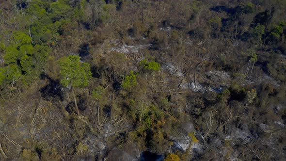 Destruction of the Amazon rain forest biome from wildfire, global warming, climate change and greenh