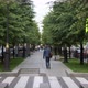 People Walk Along the Alley a Beautiful Street in the City with Green Trees Pedestrians Walking - VideoHive Item for Sale