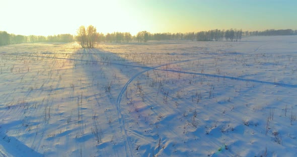 Aerial Drone View of Cold Winter Landscape with Arctic Field, Trees Covered with Frost Snow and