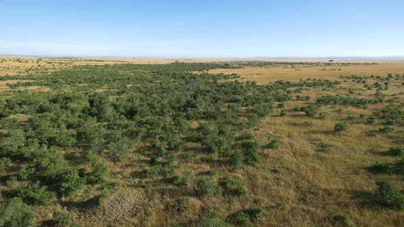 Aerial view of Masai Mara